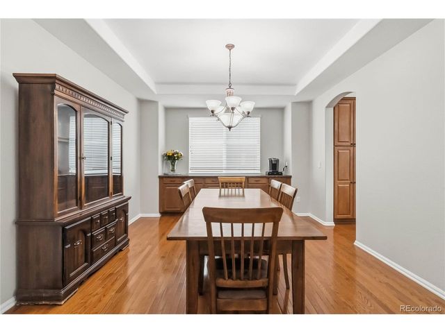 16594 E Black Horn Dr, Parker, CO 80134