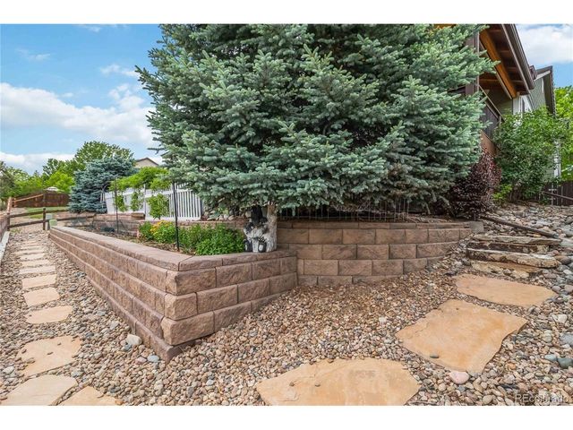 16594 E Black Horn Dr, Parker, CO 80134