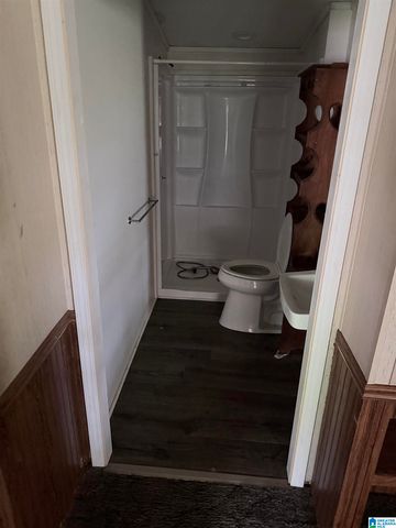 248 MARGARET DRIVE, Childersburg, AL 35044