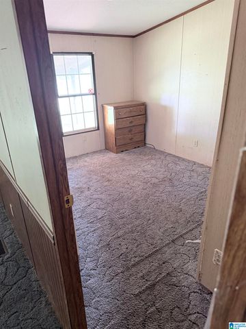 248 MARGARET DRIVE, Childersburg, AL 35044