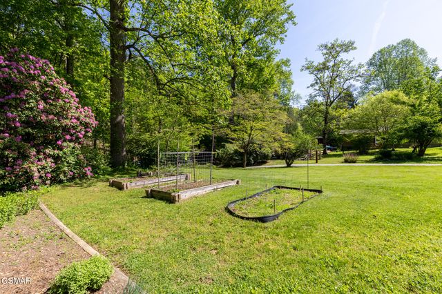 4527 E Scenic Drive, Gatlinburg, TN 37738