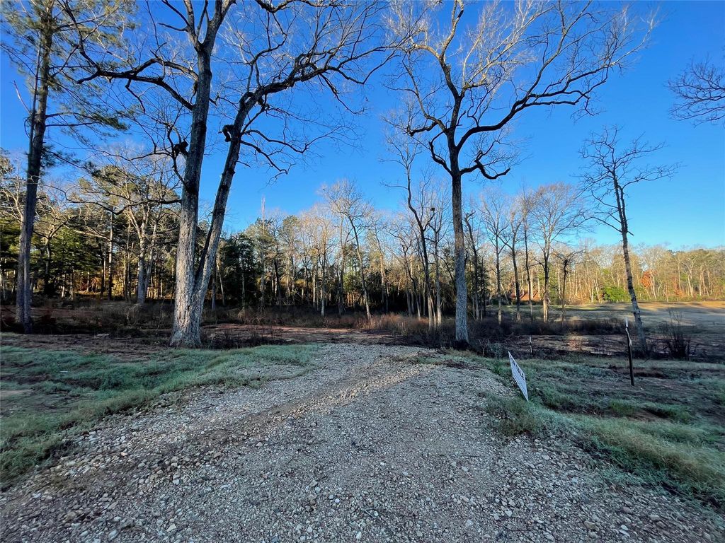 11357 Annie Creek Drive, Willis, TX 77378