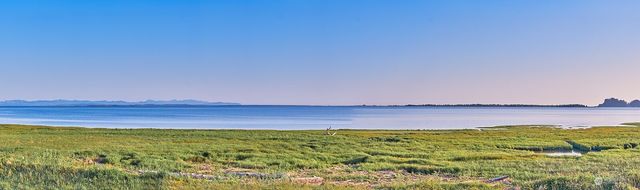 264 Stringtown Road, Ilwaco, WA 98624