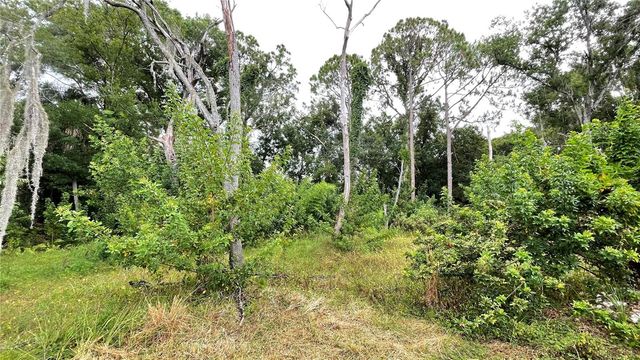 9461 W NORFOLK STREET, Tampa, FL 33615