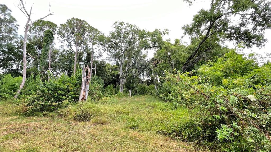 Image 5 of property listing at 9461 W NORFOLK STREET, Tampa, FL 33615