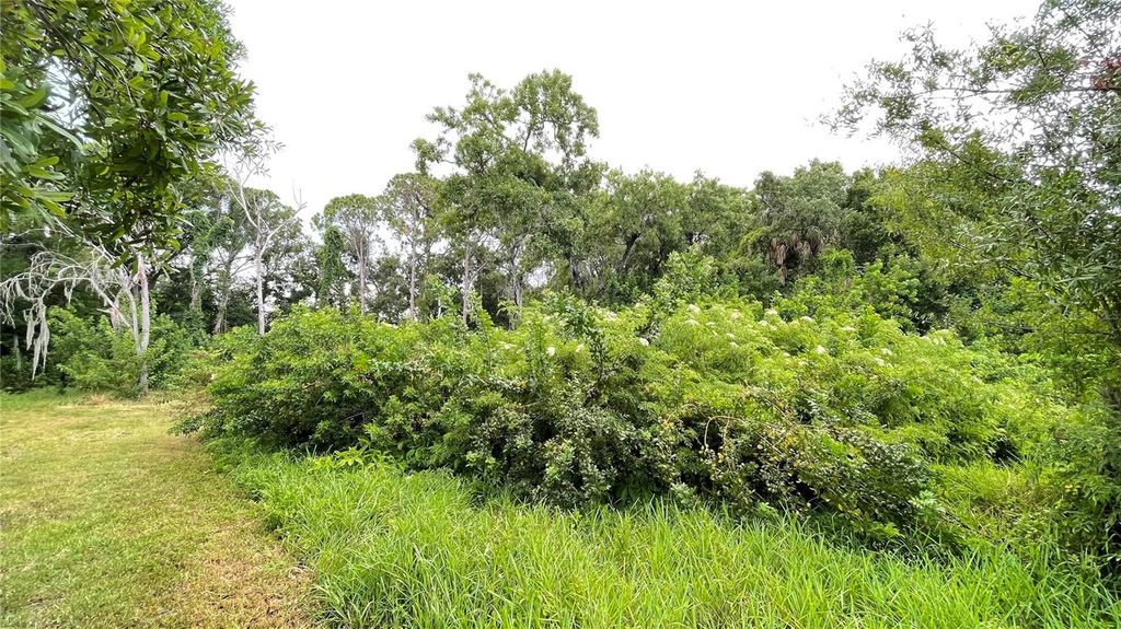 Image 9 of property listing at 9461 W NORFOLK STREET, Tampa, FL 33615