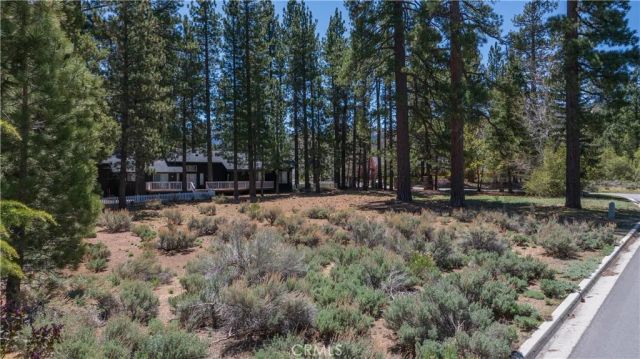 0 Marina, Big Bear Lake, CA 92315