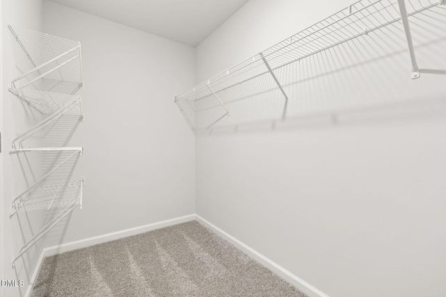 617 Ben Ledi Court, Raleigh, NC 27603