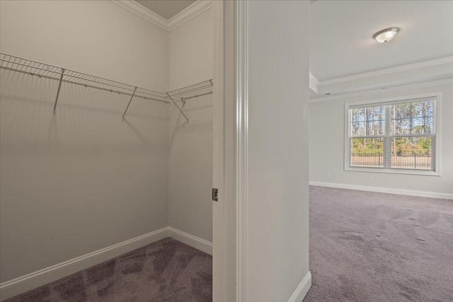 1241 Hammrick Lane, Johns Island, SC 29455