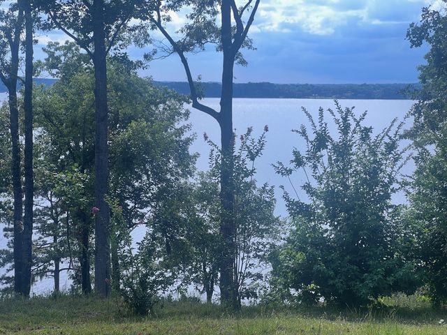 23 Deer Trail, Georgetown, GA 39854