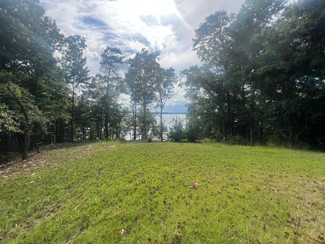 23 Deer Trail, Georgetown, GA 39854