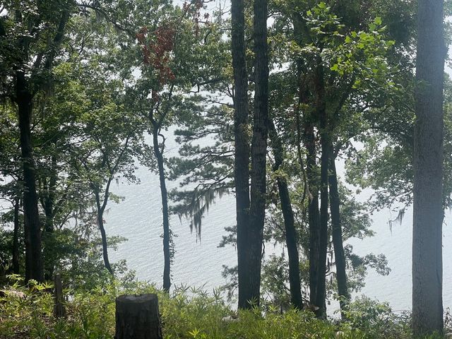 23 Deer Trail, Georgetown, GA 39854