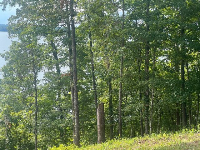 23 Deer Trail, Georgetown, GA 39854