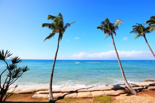 4327 Lower Honoapiilani Rd # 208, Lahaina, HI 96761