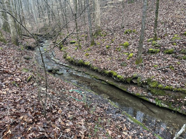 96 Sarvis Ridge Rd, Normandy, TN 37360