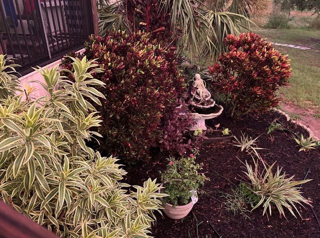 8236 LAKE LOWERY ROAD, Haines City, FL 33844