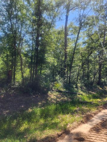 02 Cindy Lane, Shepherd, TX 77371