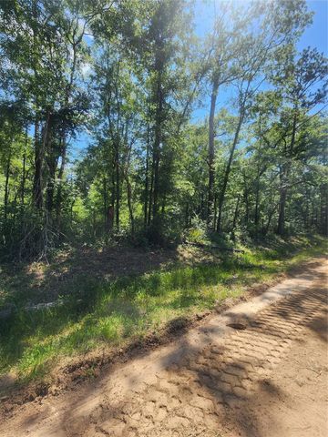 02 Cindy Lane, Shepherd, TX 77371