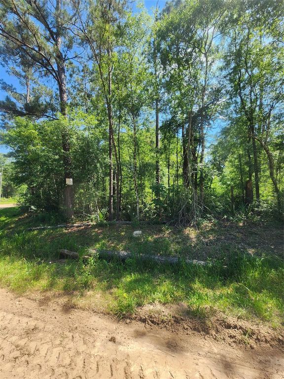 02 Cindy Lane, Shepherd, TX 77371