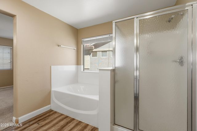 217 N 236TH Avenue, Buckeye, AZ 85396