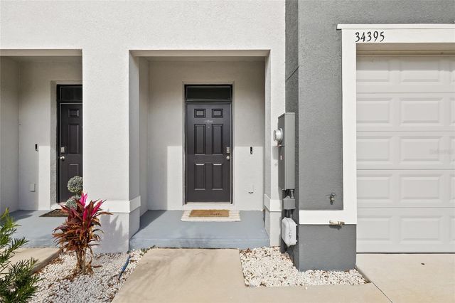 34395 SORREL MINT, Wesley Chapel, FL 33543