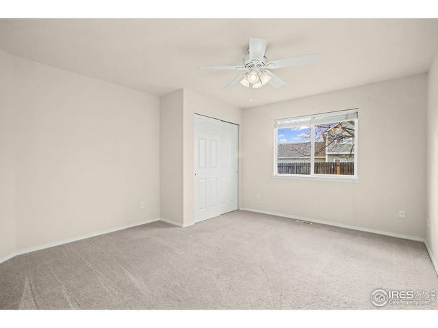 1507 Stonewood Ct, Windsor, CO 80550