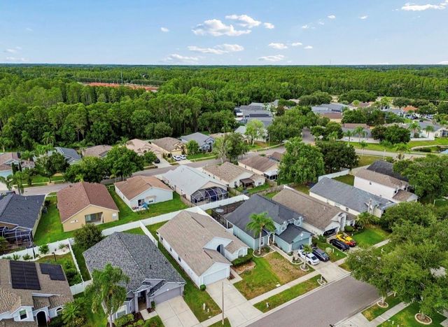 3814 JUDSON DRIVE, Land O Lakes, FL 34638
