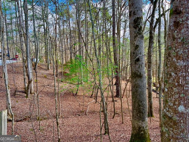 985 Ogden Drive, Ellijay, GA 30540