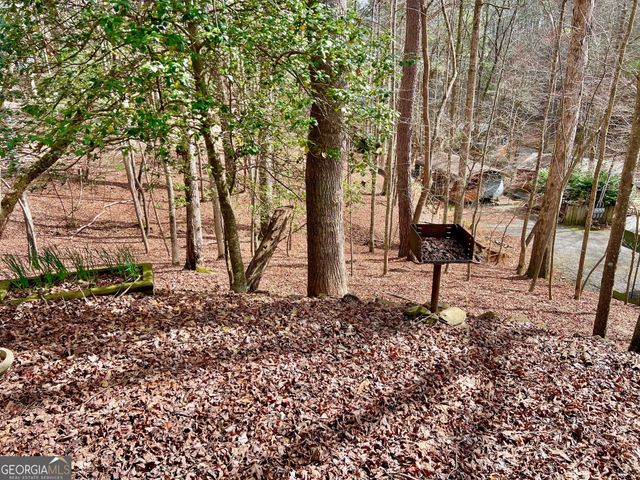 985 Ogden Drive, Ellijay, GA 30540