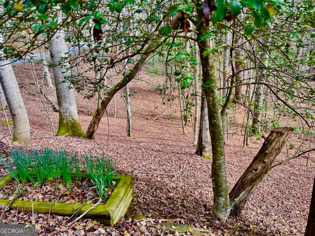 985 Ogden Drive, Ellijay, GA 30540