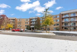 245 S Park Lane 321, Palatine, IL 60074