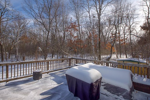 23429 London Street NE, Bethel, MN 55005