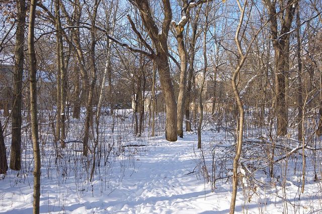 23429 London Street NE, Bethel, MN 55005