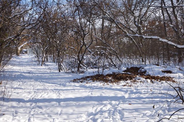 23429 London Street NE, Bethel, MN 55005