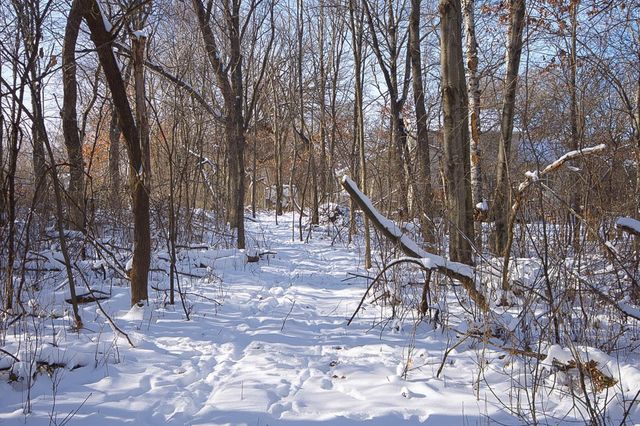 23429 London Street NE, Bethel, MN 55005