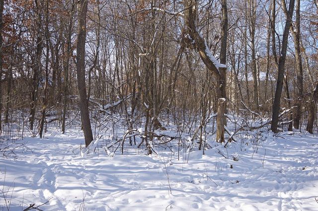 23429 London Street NE, Bethel, MN 55005