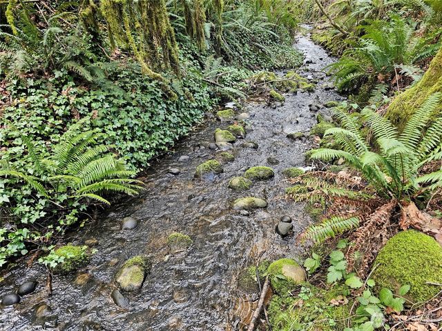 3017 Graf Road, Centralia, WA 98531