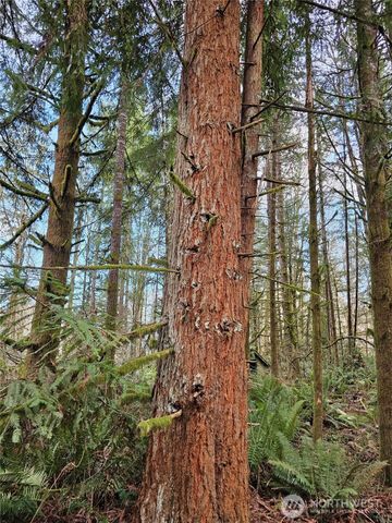 3017 Graf Road, Centralia, WA 98531