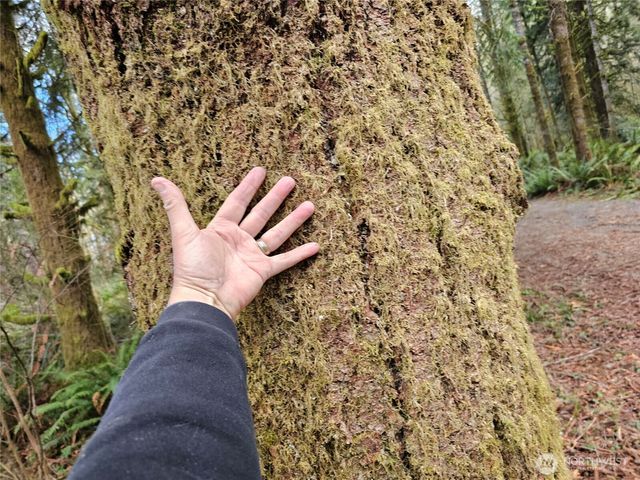 3017 Graf Road, Centralia, WA 98531