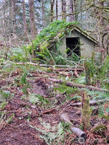 3017 Graf Road, Centralia, WA 98531