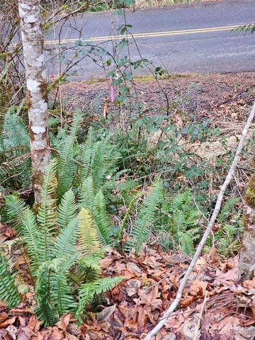 3017 Graf Road, Centralia, WA 98531