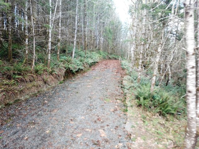 3017 Graf Road, Centralia, WA 98531