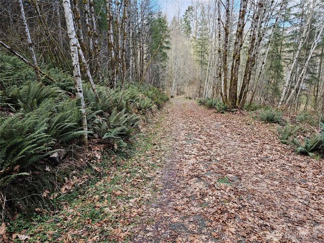 3017 Graf Road, Centralia, WA 98531