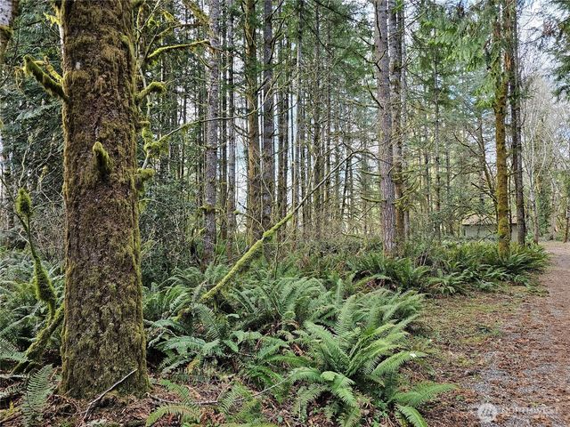 3017 Graf Road, Centralia, WA 98531