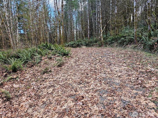 3017 Graf Road, Centralia, WA 98531