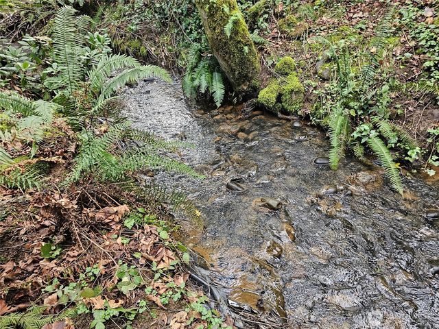 3017 Graf Road, Centralia, WA 98531