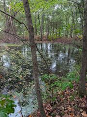 1260 Hillcrest Road, Dickson, TN 37055