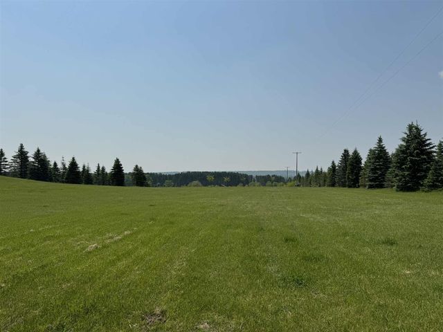 6294 100th Avenue, Evart, MI 49631