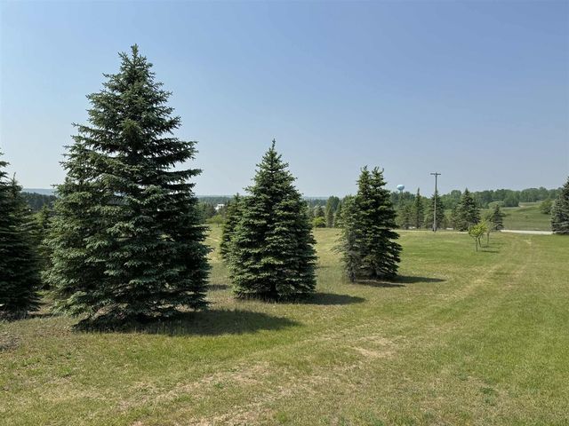 6294 100th Avenue, Evart, MI 49631