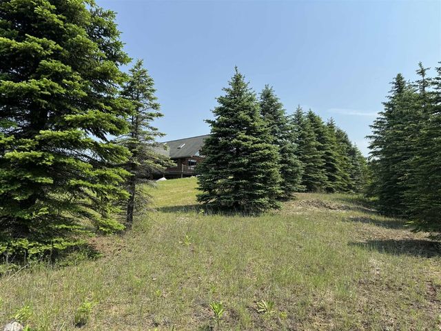 6294 100th Avenue, Evart, MI 49631